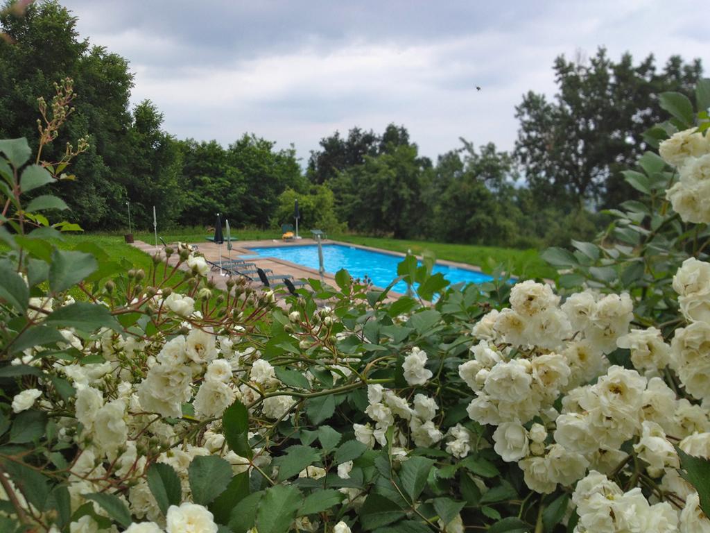 Agriturismo Famiglia Al Castello Di Bagnolo Bagnolo Piemonte Zimmer foto